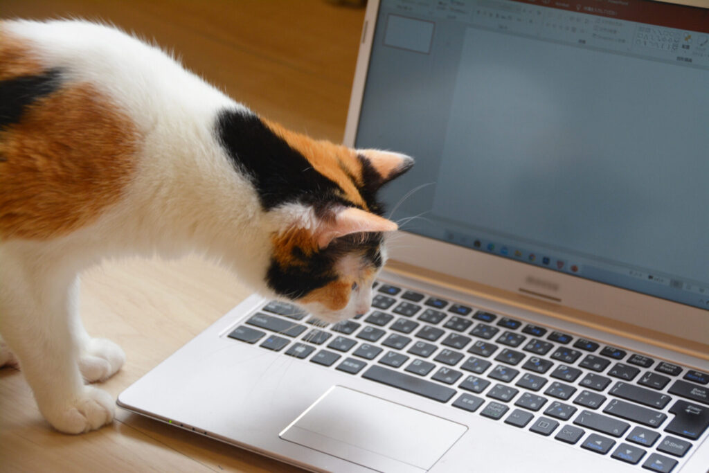 MFC110.DLLがないため~という表示が出てきて、困っている人(猫)のイメージ