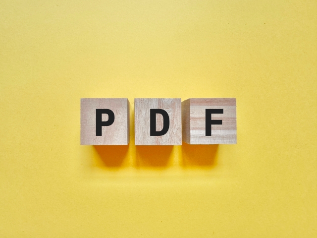 PDFファイルのイメージ